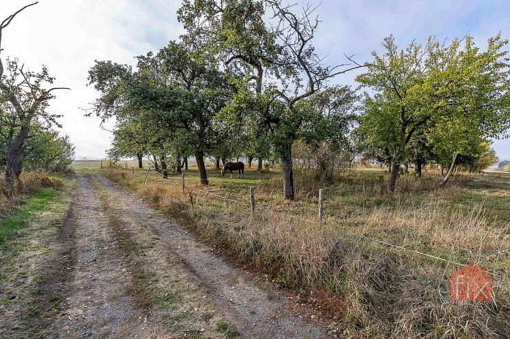 Pozemek, 9472 m2, Čichalov - Štoutov