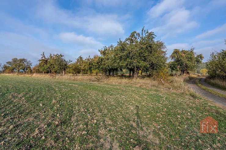 Pozemek, 9472 m2, Čichalov - Štoutov