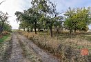 Pozemek, 9472 m2, Čichalov - Štoutov