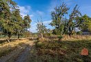 Pozemek, 9472 m2, Čichalov - Štoutov