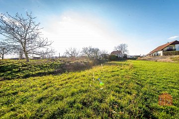 Pozemek, 1701 m2, Zámrsk