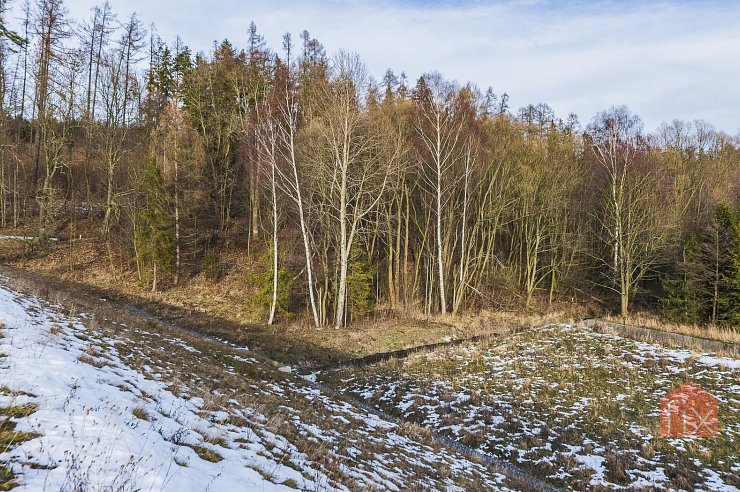 Pozemek, 8875 m2, Budišov nad Budišovkou - Budišov nad Budišovkou