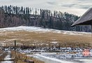 Pozemek, 8875 m2, Budišov nad Budišovkou - Budišov nad Budišovkou