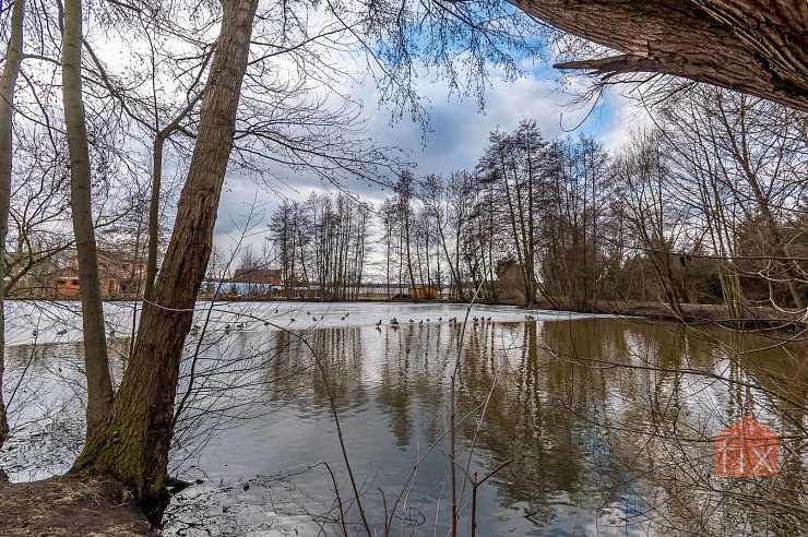 Pozemek, 2196 m2, Živanice