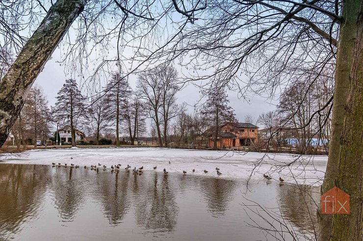Pozemek, 2196 m2, Živanice
