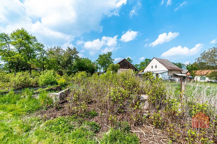 Pozemek, 3193 m2, Živanice