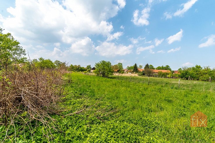 Pozemek, 3193 m2, Živanice