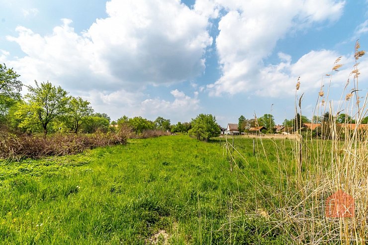 Pozemek, 3193 m2, Živanice