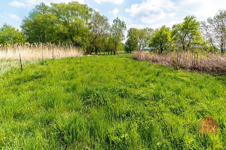 Pozemek, 3193 m2, Živanice