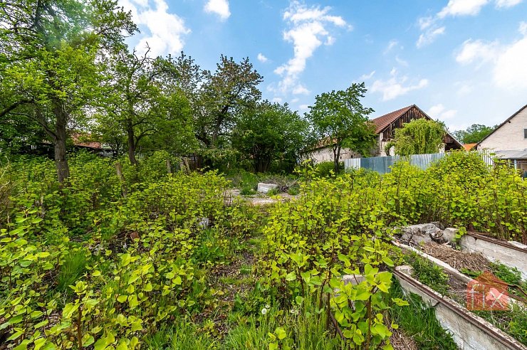 Pozemek, 3193 m2, Živanice