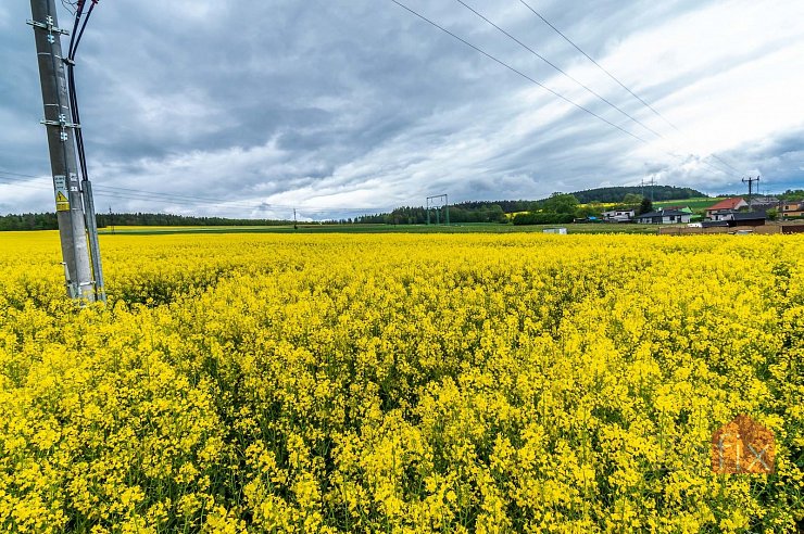 Pozemek, 3455 m2, Kondrac